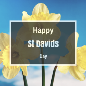 Happy St Davids Day